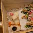 예산 위드엔젤 | 예산 위드엔젤 | 반려동물과의 마지막 시간, 예산 반려동물 장례식장 장례비용 후기