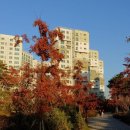 마곡13단지공인중개사사무소 이미지