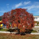 죽장상옥분교 이미지