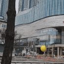 (주)펫키즈 이미지