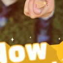 오너랭귀지 이미지