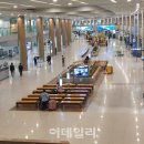 서울버스㈜,서울공항리무진㈜ 이미지