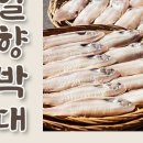 일향유통 이미지