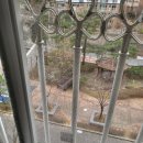 (주)굿모닝마을 | 울산 미세방충망 교체 문수마을 동문굿모닝힐 벌레없는 쾌적한 우리집완성