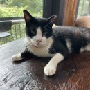 남매점빵 | [경주1일차] 드디어 찾아온 나의 여름 휴가, 늦은 여름 휴가 기록