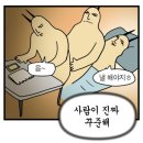 [이탈리아 교환일기]:🇮🇹유로스파🛒 처음 간 날+bershka 쇼핑+오스트리아 여행 준비