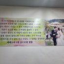 그레이스메리지컨설팅 이미지