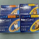 구름약국 이미지