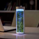 자연가습 이끼 테라리엄 이미지