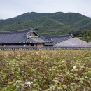 본1리경로당 이미지