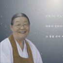 법타원 김이현종사님 이미지