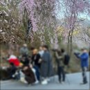 거창군남상면임불보건진료소 이미지