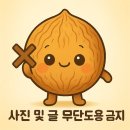 등나무집 | 오산시 맛집 등나무집화로구이 한돈 양념갈비 정식 후기