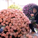 국제문화교류관 야외정원 이미지