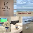 스테이죽도 | <부산 애견동반 숙소> 해운대 코브스테이 디럭스 트윈 시티뷰 내돈내산 2박 후기