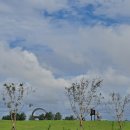 노을빛 민박 이미지