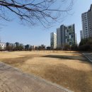 통정 이미지