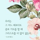 중보 Daum카페