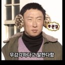 영포티 이미지