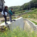 성동천 이미지