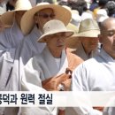 팔만대장경은 평화의 정신, 해인사 정대불사 이미지