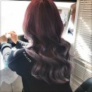 곽미용실 - 동구 | 곽미용실