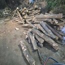 황소환경자원 이미지