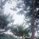 해지개5