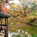 가을노을C 이미지