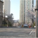 기흥데시앙 이미지