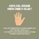 동남신발