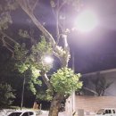 150808-0809 커밍쑨!! 늦은 후기