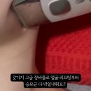 숲칼프 장승배기점