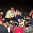 소나무둥지 이미지