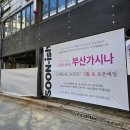 후라이몽