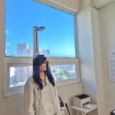 송정한방병원 | 부산 | 부산 여성전용 단식원, 정화나무 다이어트라운지 리뷰