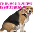 한양종합동물병원 이미지