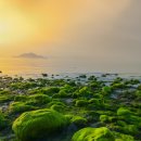 바다스토리리조트 이미지