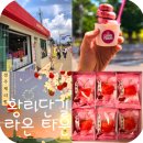 경주 체리 | [경주] 체리 빵 맛집 라온 타운 솔직 후기