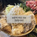 보문역 | 버섯이 종류별로! 건강한 샤브샤브 [담장샤브] 보문역/성북천 맛집/내돈내산 후기
