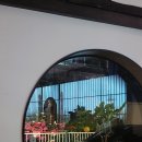 사카바 신카와 이미지