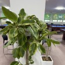 리치 당구클럽 이미지