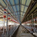 보령축산 이미지