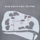 제주 봉개동 왕벚나무 자생지 | 왕벚나무 자생지를 찾으러 갔다가 1/다시 찾은 봉개동 왕벚나무 자생지 2