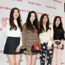 레드벨벳 카카오 검색결과