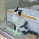 흠 이미지
