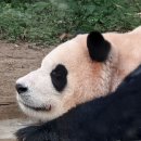 (에버라인)전대에버랜드역 이미지