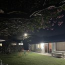 연연풍진 | [제주 숙소] 산방산 근처 숙소, 연연풍진