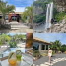 UR(서귀포시)-[동일하모로]-하-12 | 제주 서귀포 여행코스 정방폭포 + 너븐 카페☕