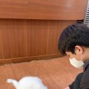 대운 동물병원 이미지